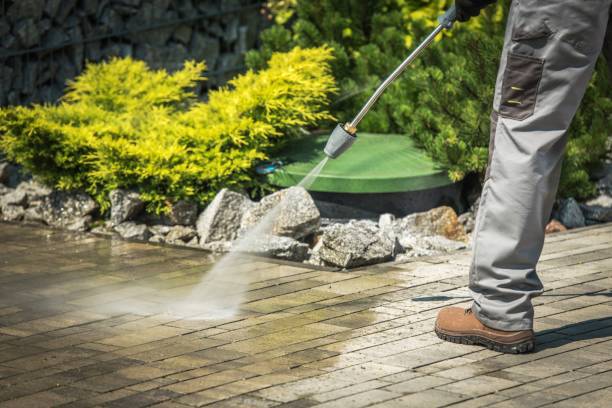 Best Fence Cleaning  in Andalusia, IL