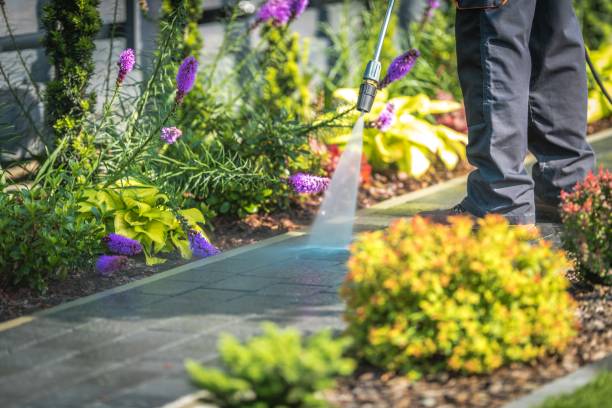 Best Driveway Pressure Washing  in Andalusia, IL